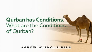 Essential Conditions for Qurban: What You Need to Know?