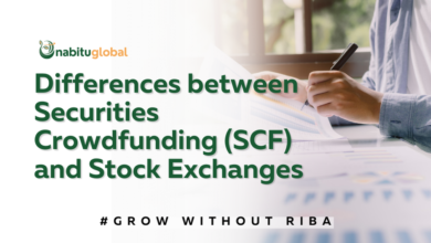 Differences between Securities Crowdfunding (DCF) and Stock Exchanges