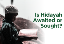 Is Hidayah Awaited or Sought?