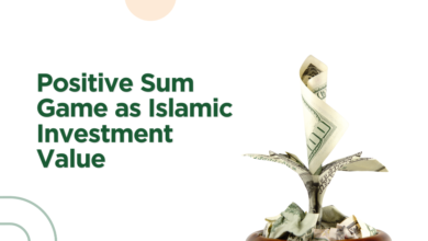 Positive Sum Game as Islamic Investment Value