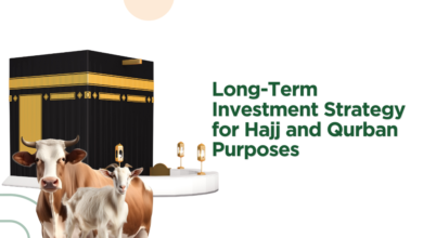 Long-Term Investment Strategy for Hajj and Qurban Purposes