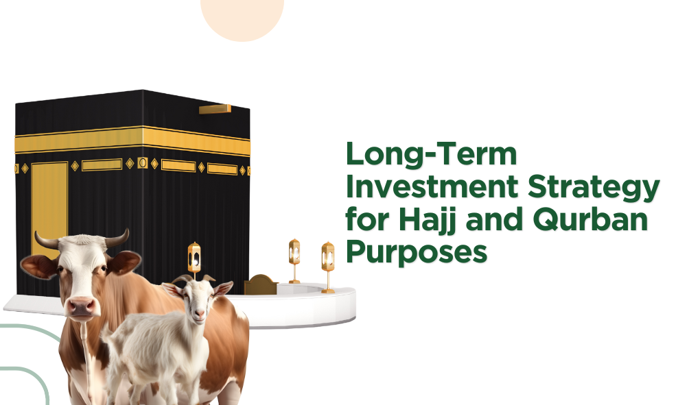 Long-Term Investment Strategy for Hajj and Qurban Purposes