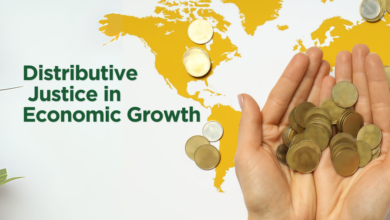 Distributive Justice in Economic Growth