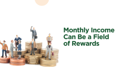 Monthly Income Can Be a Field of Rewards