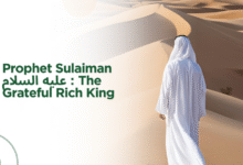 Prophet Sulaiman عليه السلام : The Grateful Rich King