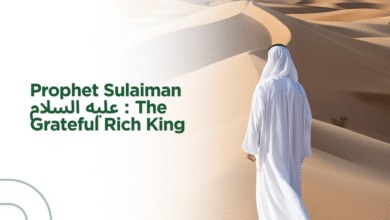 Prophet Sulaiman عليه السلام : The Grateful Rich King