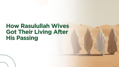 Rasulullah Wives Got Their Living After Rasulullah Passing